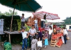 Markt in Yalıköy : Sonnenscirme, Tomaten, Auberginen, Gurken